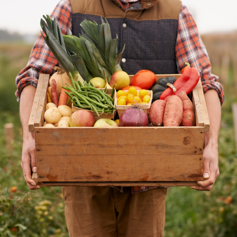 Farmer with vegetables